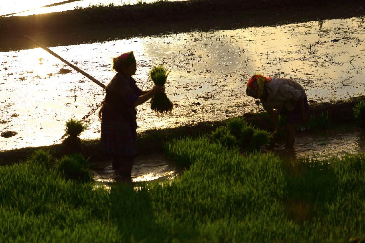 Mu Cang Chai Eco Lodge Nam San Εξωτερικό φωτογραφία