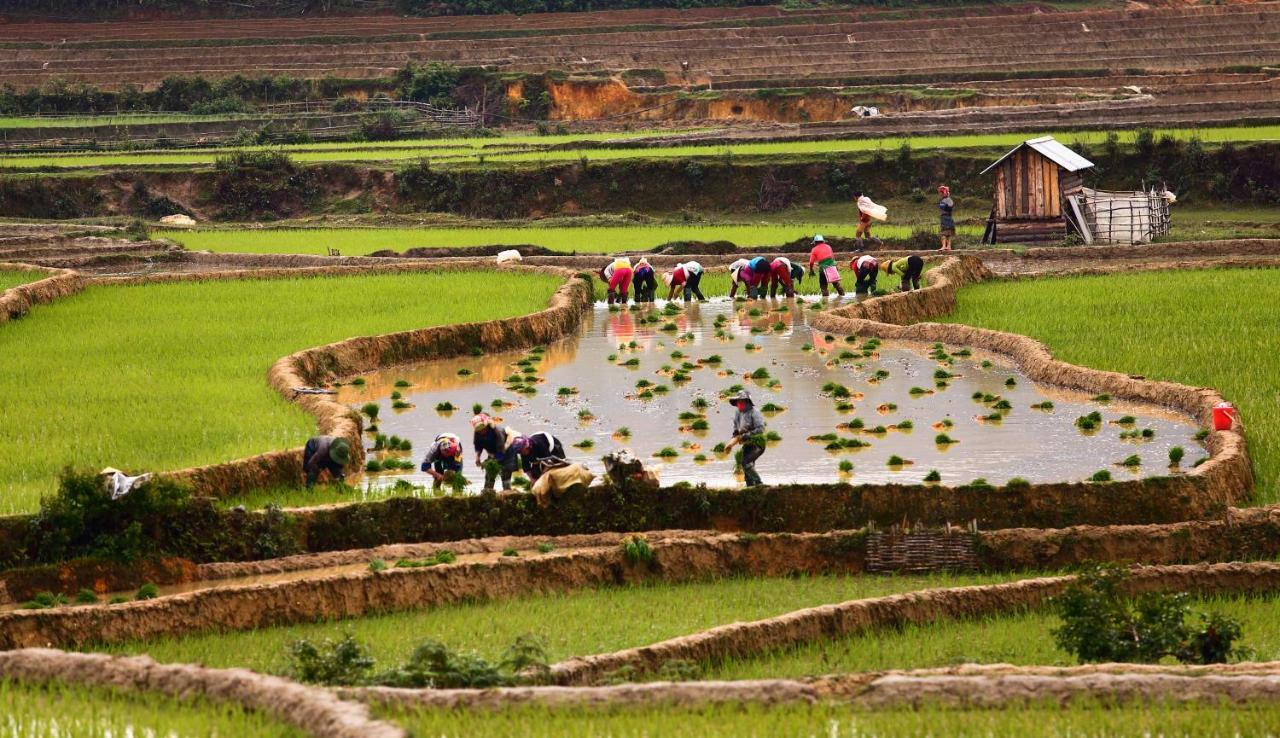 Mu Cang Chai Eco Lodge Nam San Εξωτερικό φωτογραφία