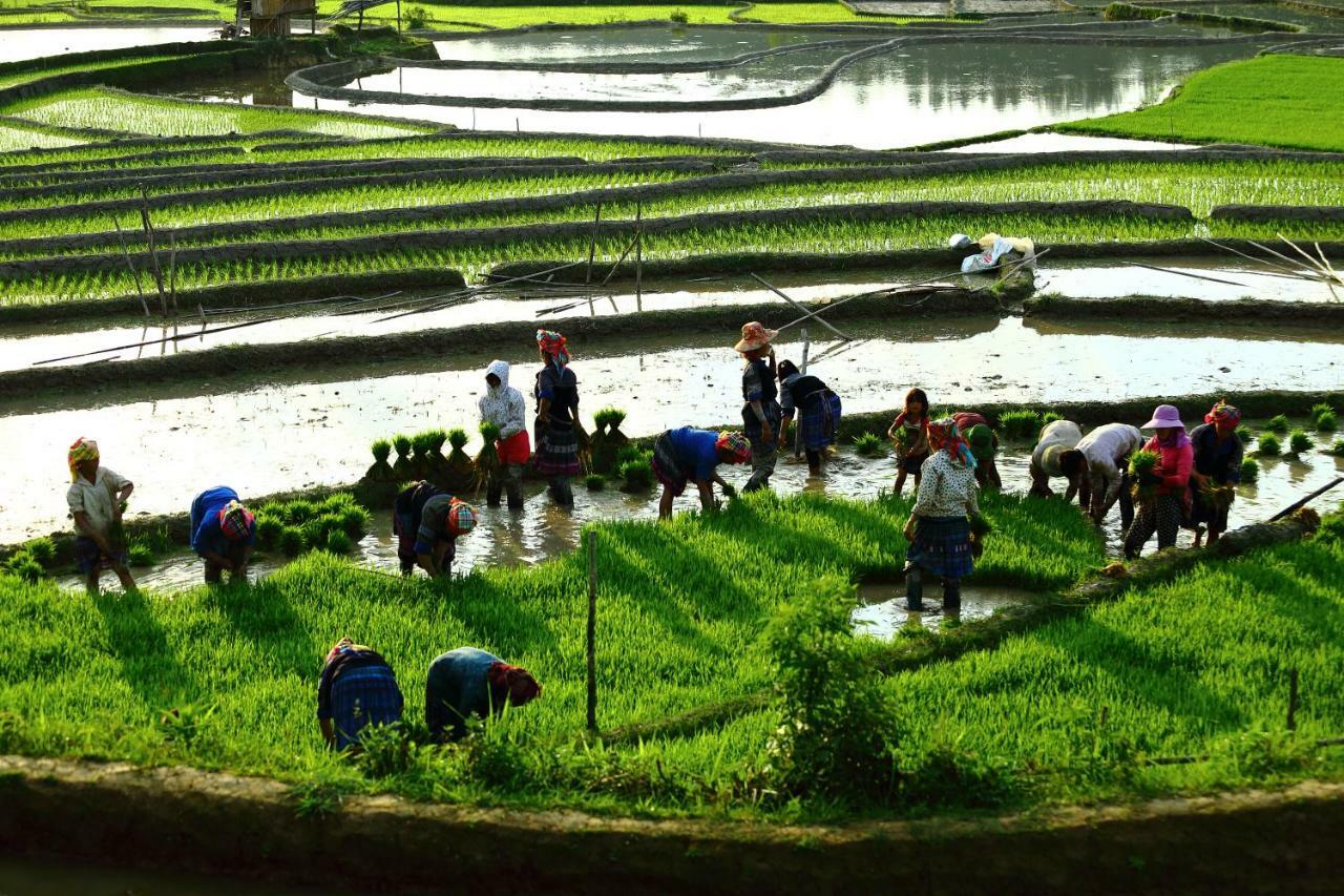 Mu Cang Chai Eco Lodge Nam San Εξωτερικό φωτογραφία