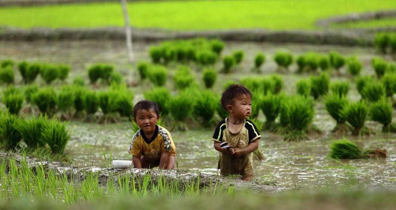 Mu Cang Chai Eco Lodge Nam San Εξωτερικό φωτογραφία