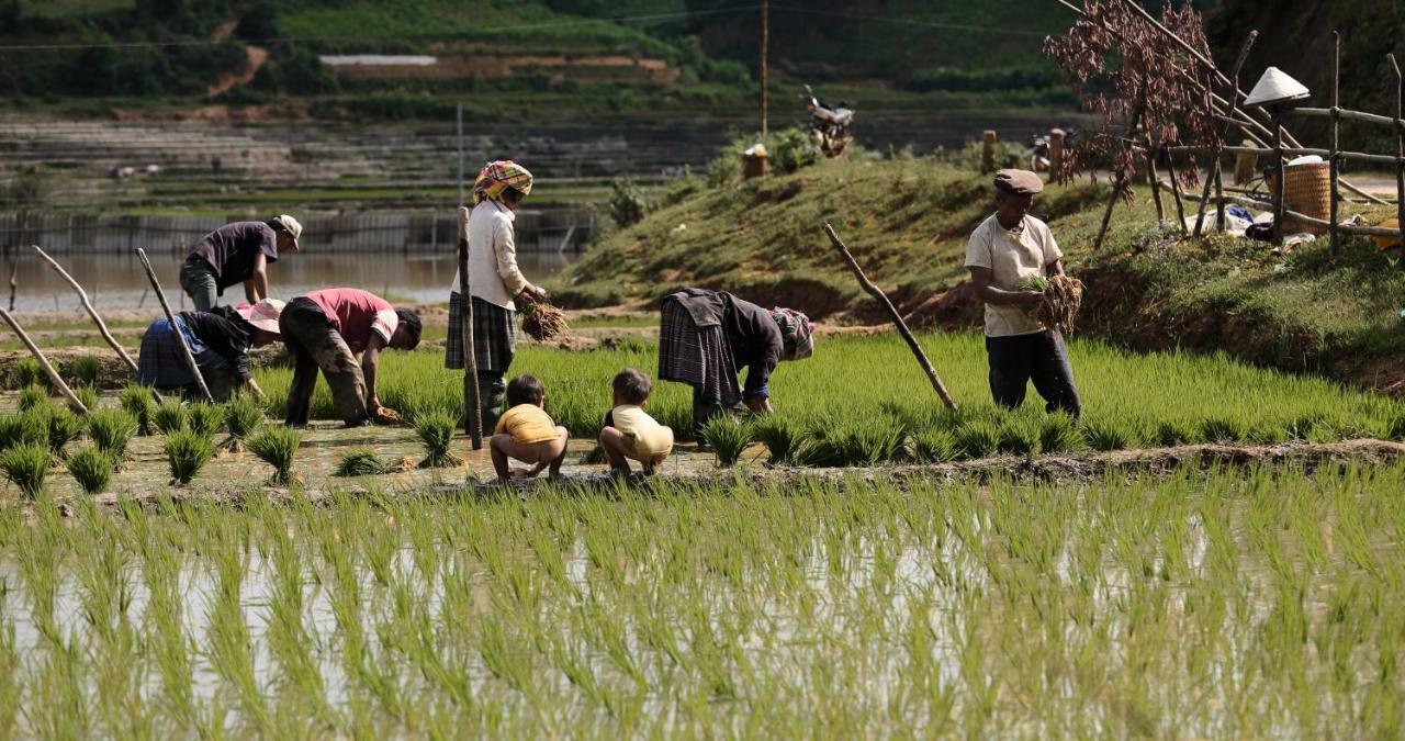 Mu Cang Chai Eco Lodge Nam San Εξωτερικό φωτογραφία